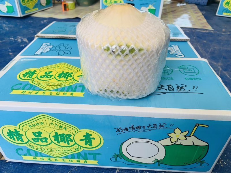 文昌青椰