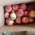 美脆10万斤待售