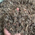 藤茶溪黄茶【包邮】三斤起发货可批量可零售量大从优