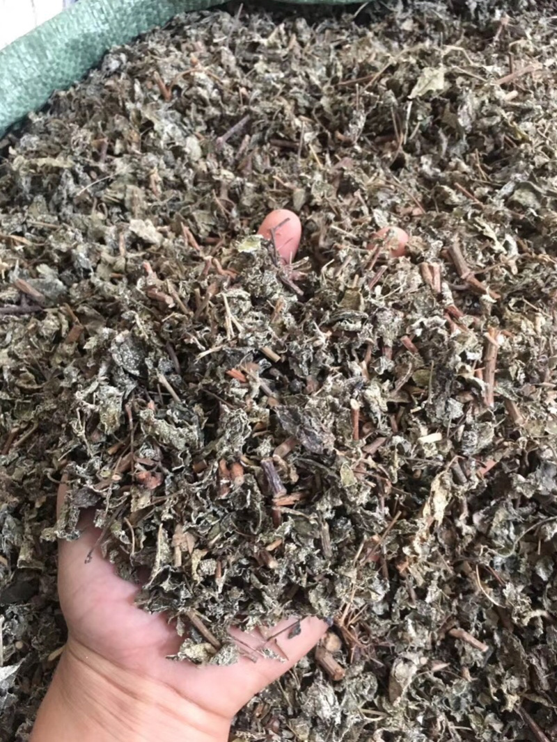 藤茶溪黄茶【包邮】三斤起发货可批量可零售量大从优