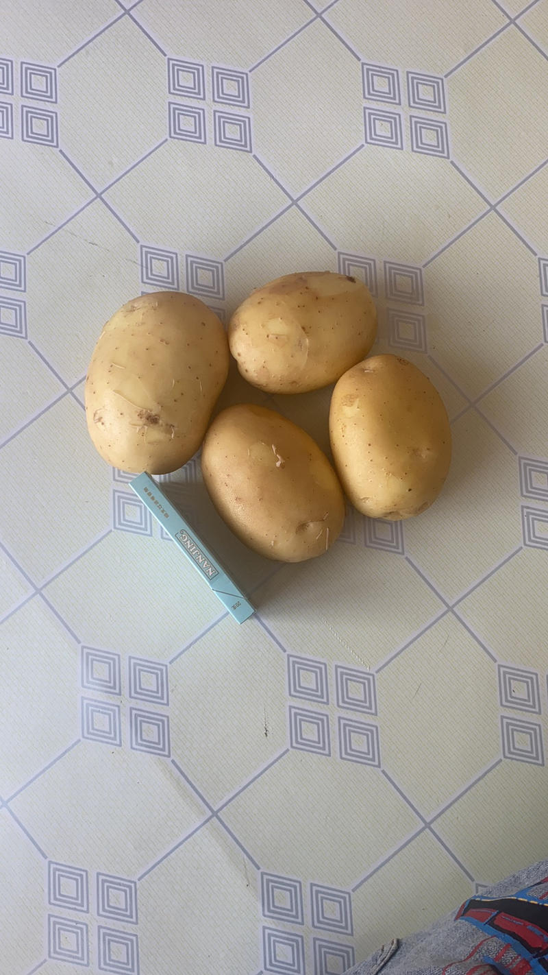 辽宁电商土豆大量上市，皮毛好，属形好，专业的工人。质量说