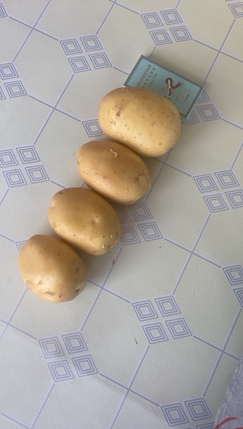 辽宁电商土豆大量上市，皮毛好，属形好，专业的工人。质量说
