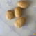 辽宁电商土豆大量上市，皮毛好，属形好，专业的工人。质量说