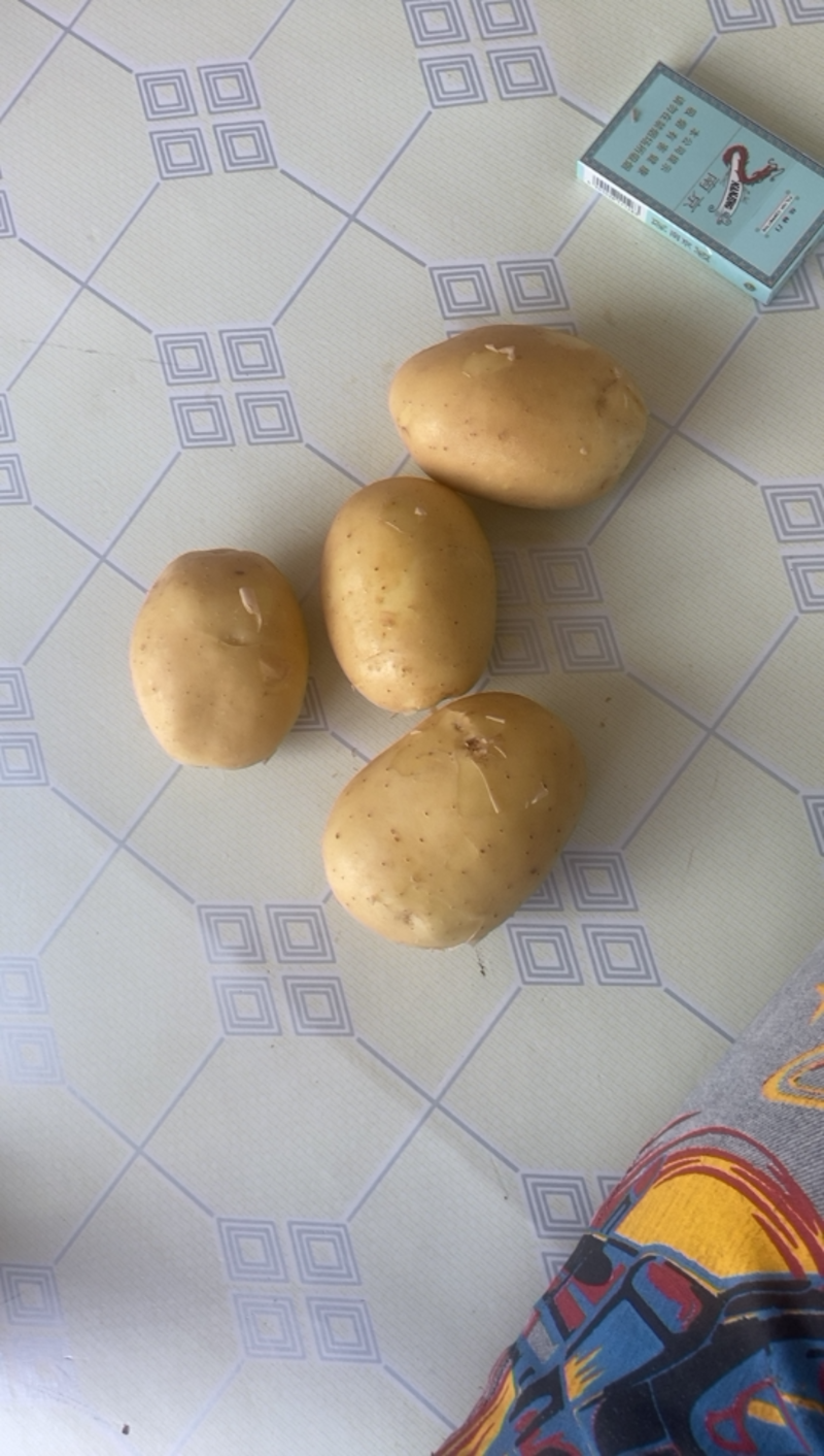 辽宁电商土豆大量上市，皮毛好，属形好，专业的工人。质量说