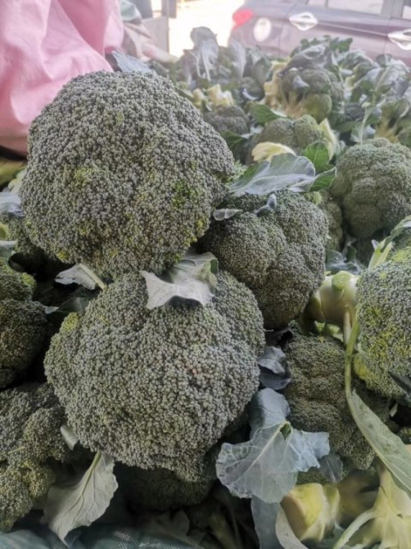 西兰花大量有货，一手货源，产地直销需要的老板联系我！