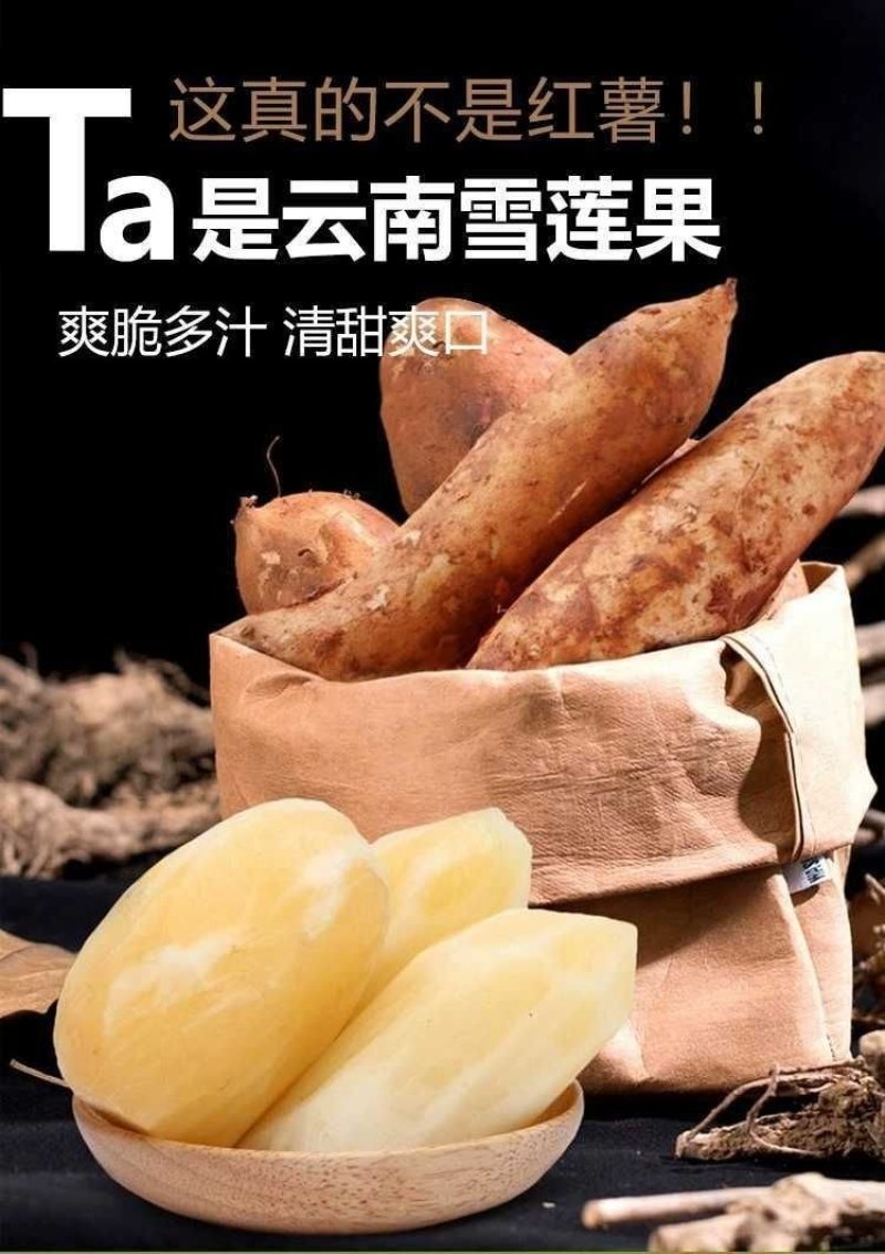雪莲果一件代发日发货能力1w件