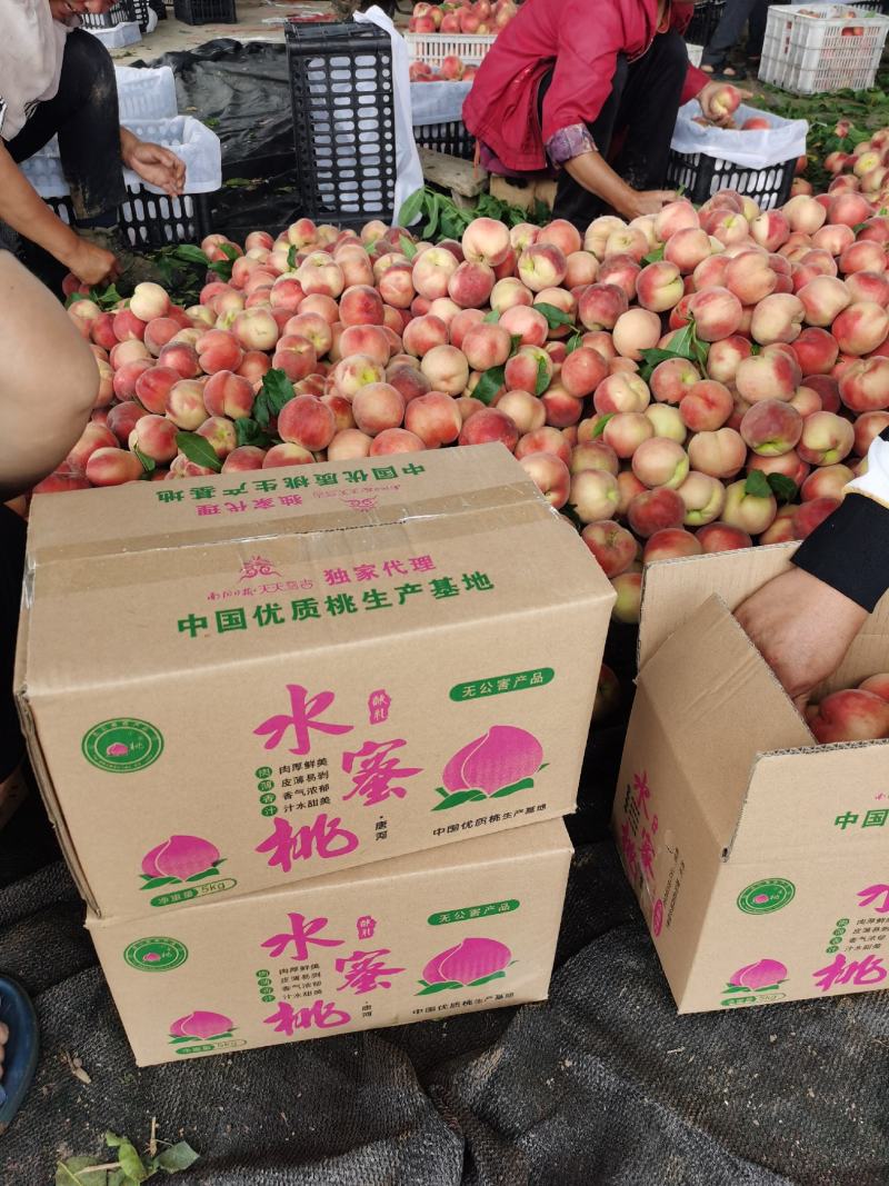 突围甩卖，4毛一斤