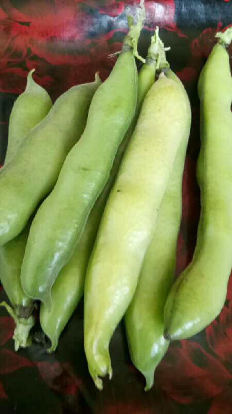 大豆角