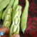 大豆角