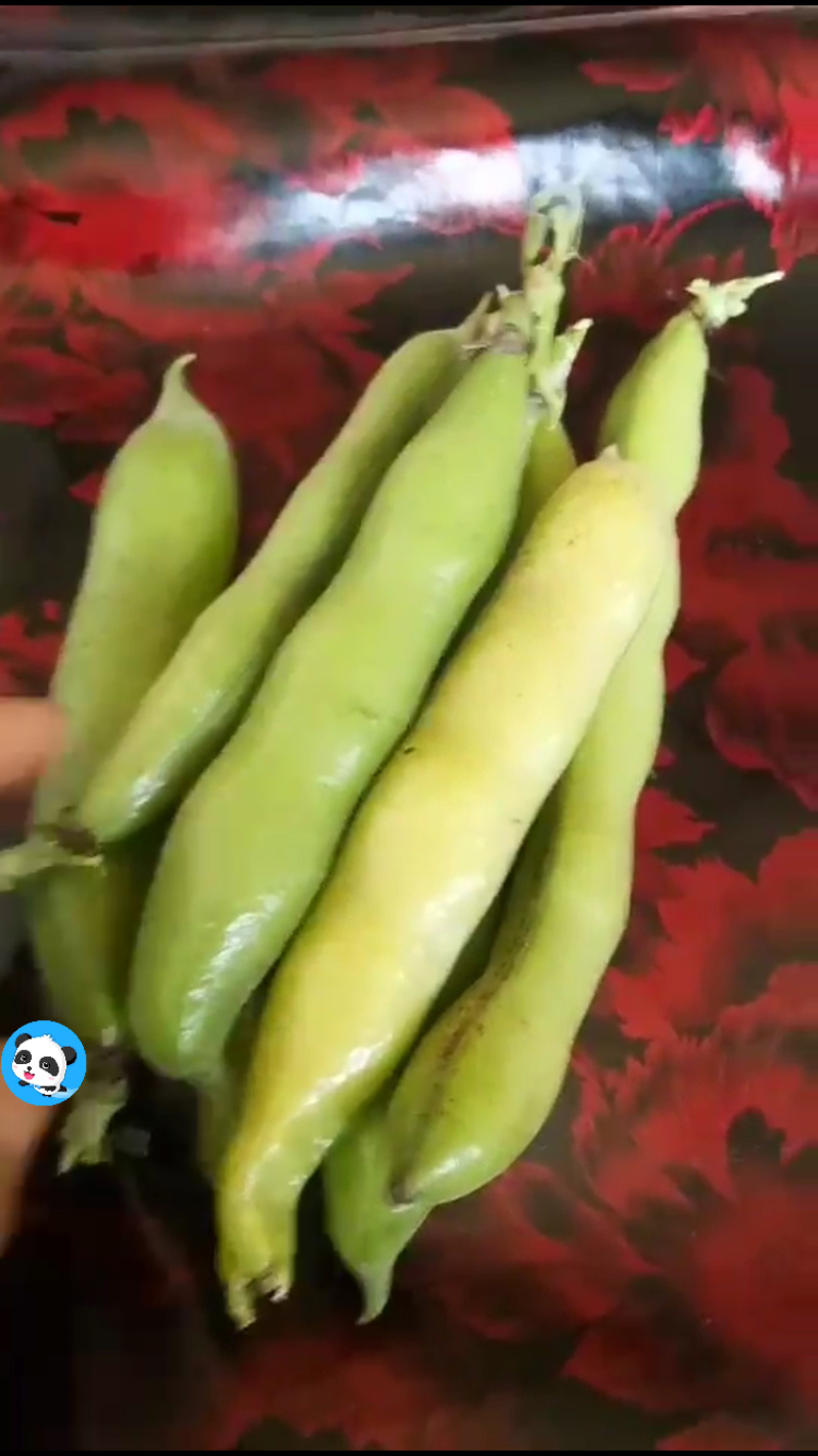 大豆角