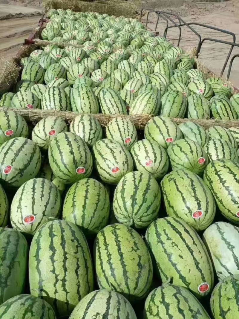 甘肃大漠西瓜，石缝西瓜双红金城头茬瓜，全国接单发货