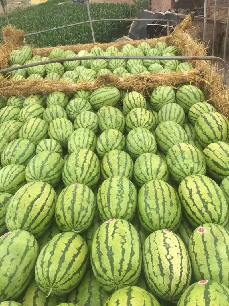 甘肃大漠西瓜，石缝西瓜双红金城头茬瓜，全国接单发货