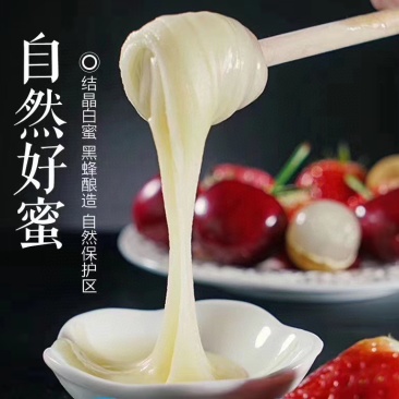 长白山椴树雪蜜结晶蜂蜜500克/20元/瓶支持一件代发