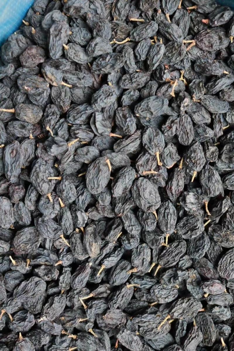 广州人黑加仑薄皮口感好足干新鲜货不满意可退