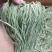 安徽贡菜云南贡菜响菜苔菜一箱10斤