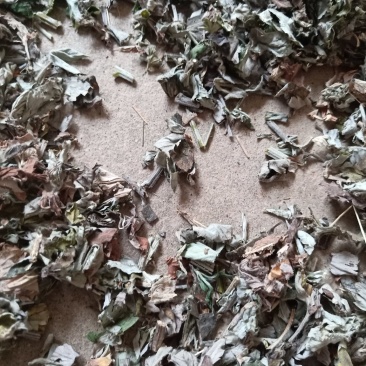 艾草段，足浴，泡澡用