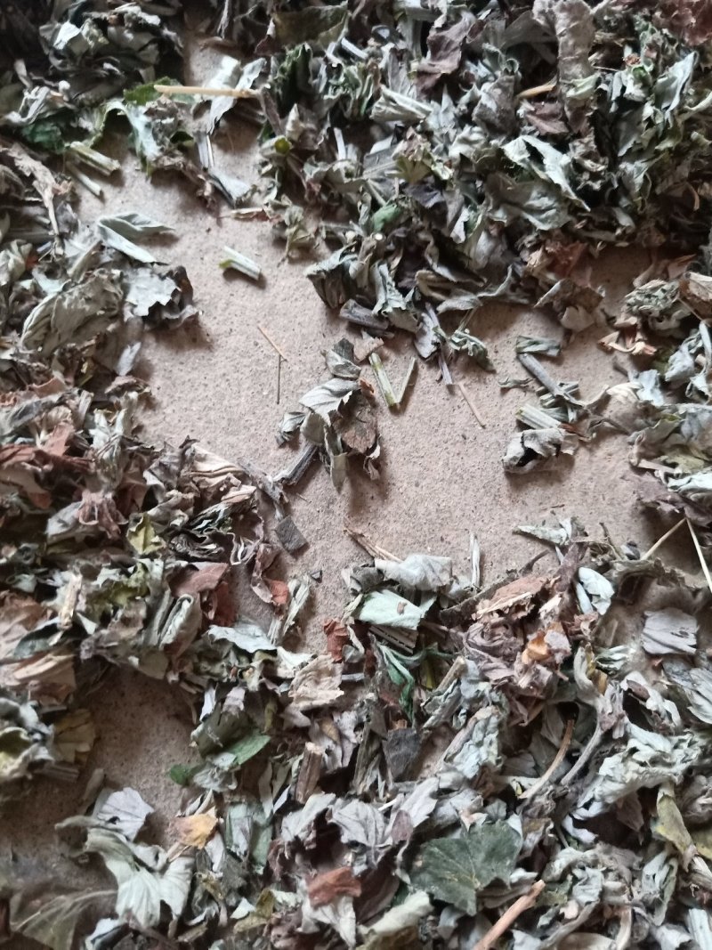 艾草段，足浴，泡澡用