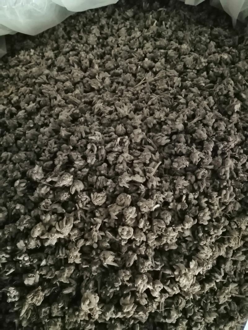 批发家种猫爪草中粒货，一手货源，诚信经营，感谢您的信任。