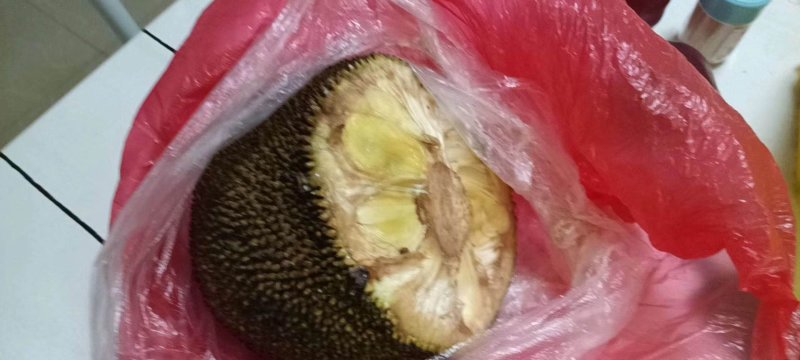 菠萝蜜菠萝蜜新鲜菠萝蜜