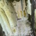 农家土蜂蜜蜂蜜非养殖蜂蜜