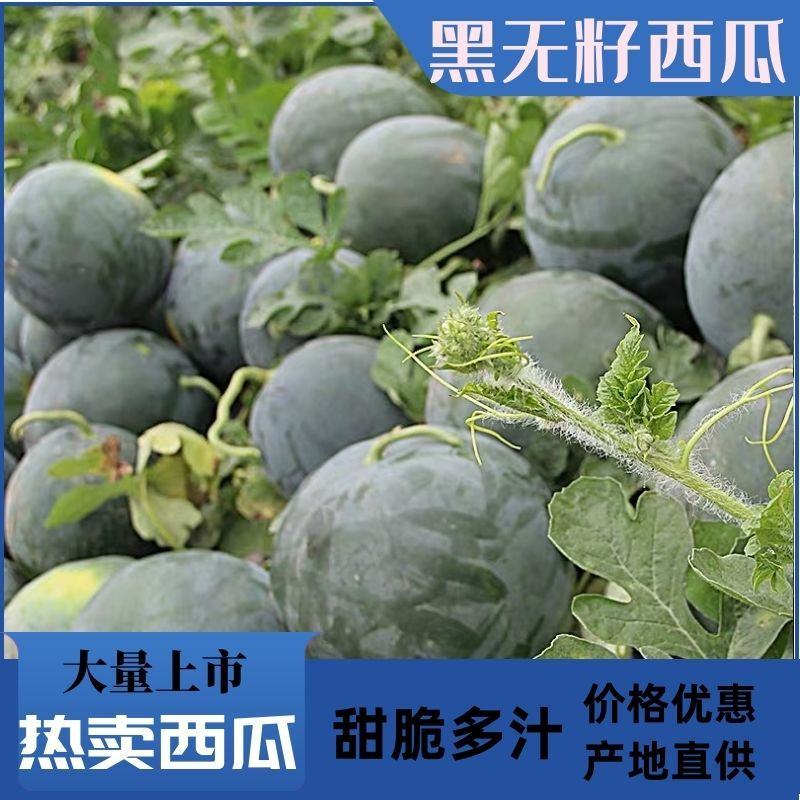 黑皮无籽西瓜大量上市了，保质保量代发全国