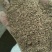 中药渣饲料添加剂干湿药渣药渣粉豆粕辅料