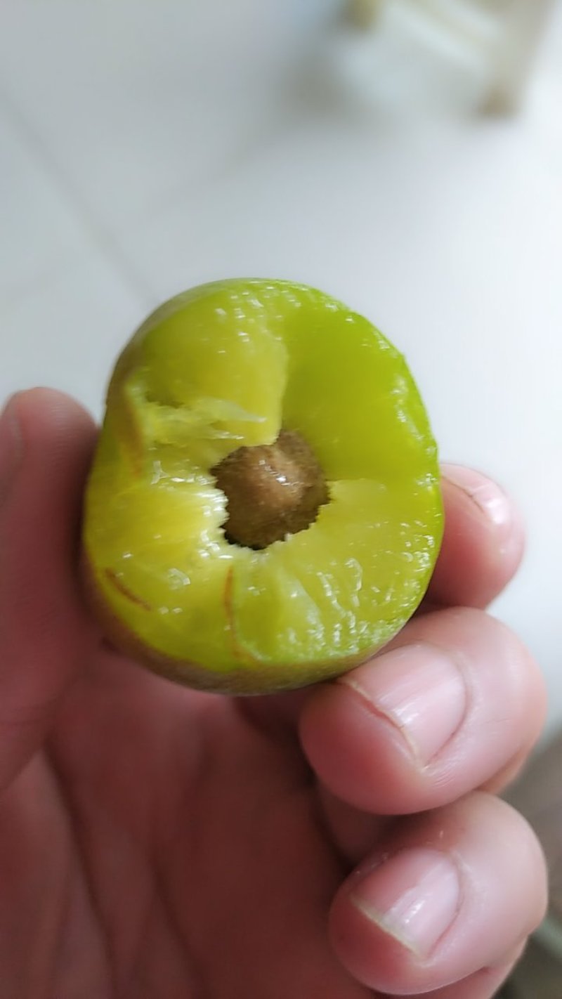 半边红李子