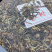 红茶临沧古树红茶357/饼入口香甜，发酵古的茶属温和茶