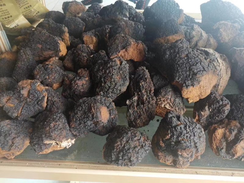长白山野生桦树茸天然桦树茸整块产地直发可视频