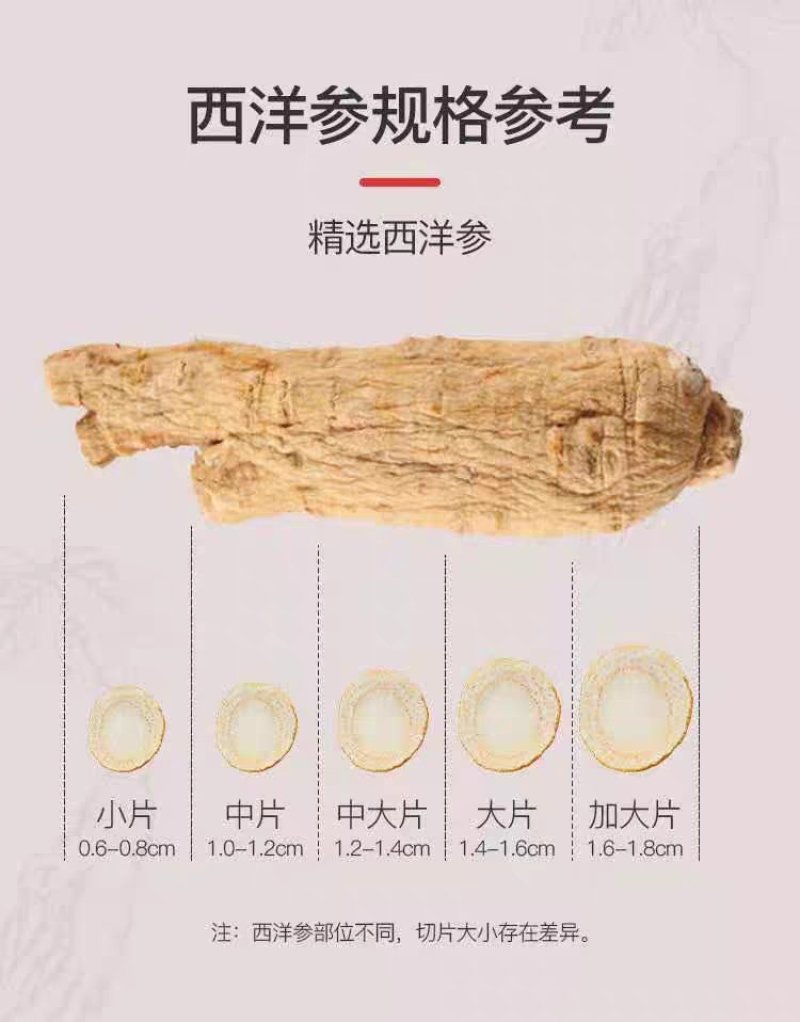 长白山西洋参片纯软支高品质西洋参片各种规格可视频看货