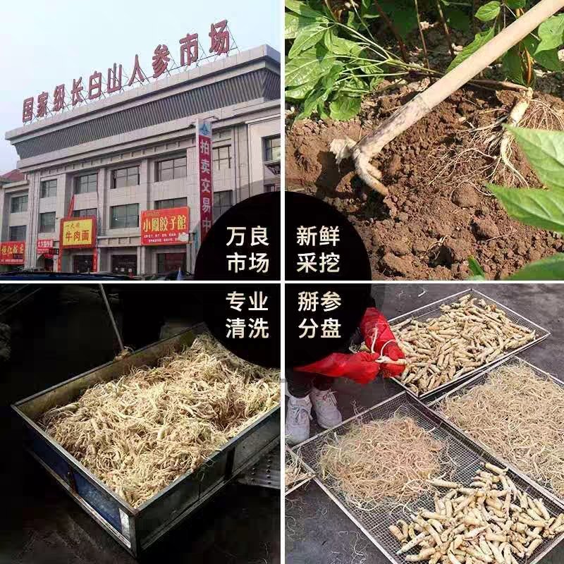 长白山生晒参须子白参须子产地直发一手货源高品质