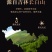 长白山生晒参须子白参须子产地直发一手货源高品质