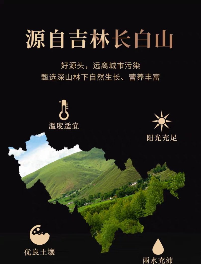 长白山生晒参须子白参须子产地直发一手货源高品质