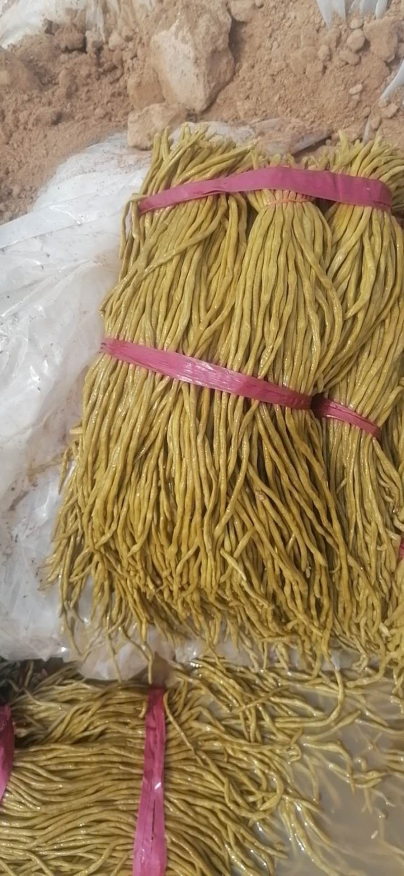 腌豆角