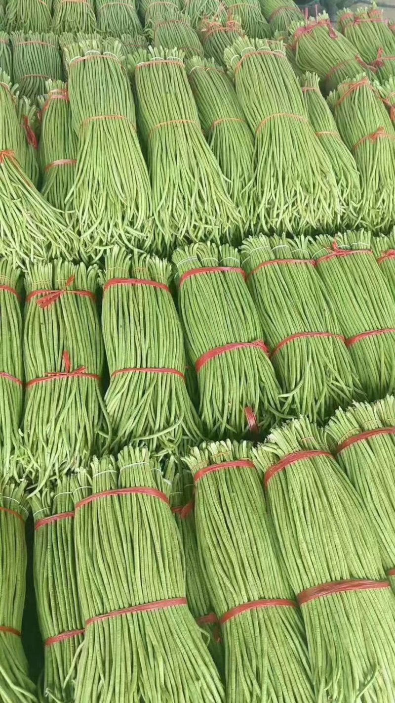 腌豆角