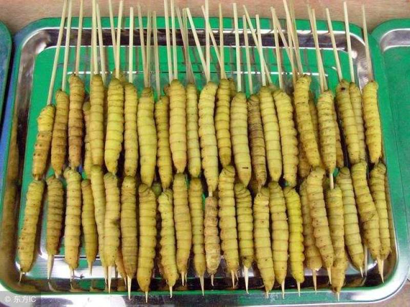 豆虫大豆青虫新鲜活速冻