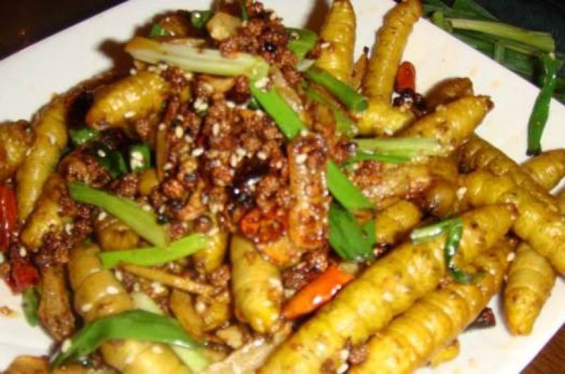豆虫大豆青虫新鲜活速冻