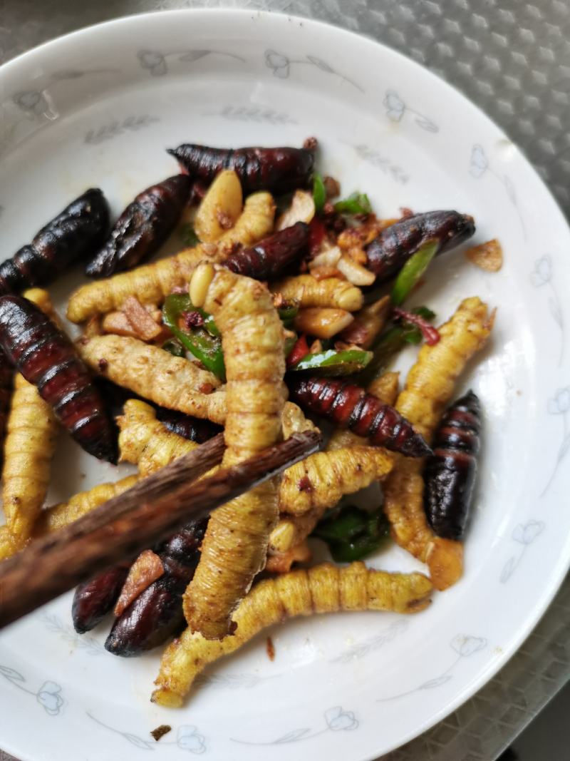 豆虫大豆青虫新鲜活速冻