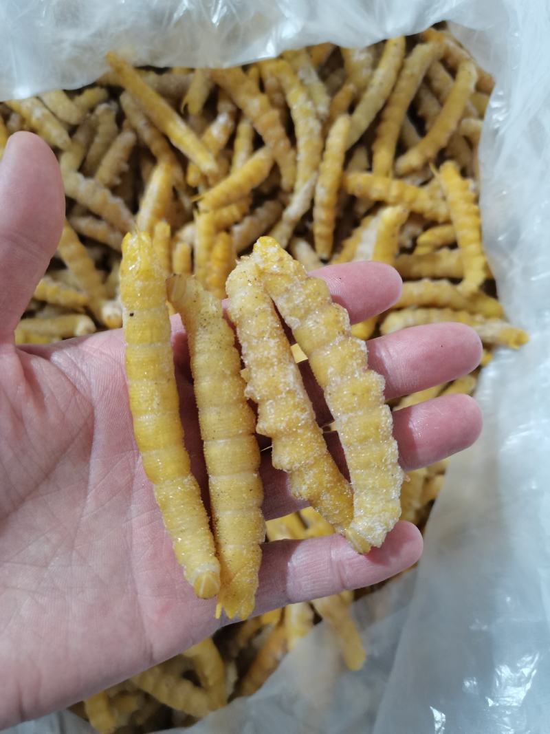 豆虫大豆青虫新鲜活速冻