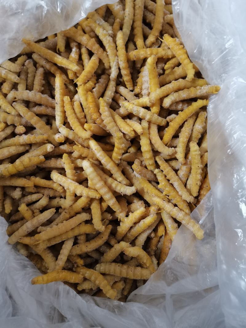 豆虫大豆青虫新鲜活速冻