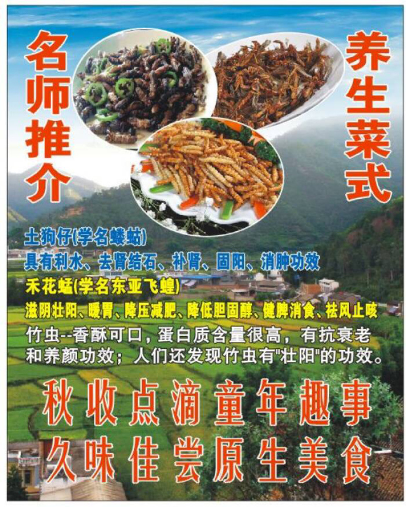真正的产地蝼蛄欢迎老板们大量订购，包装质量充足