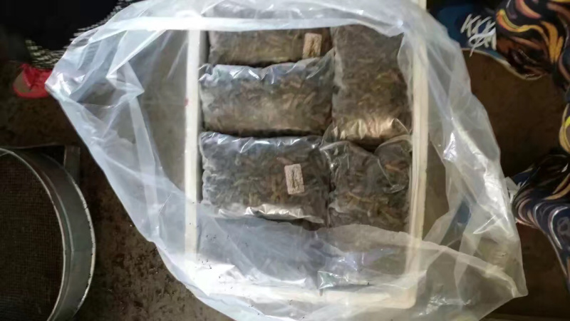真正的产地蝼蛄欢迎老板们大量订购，包装质量充足
