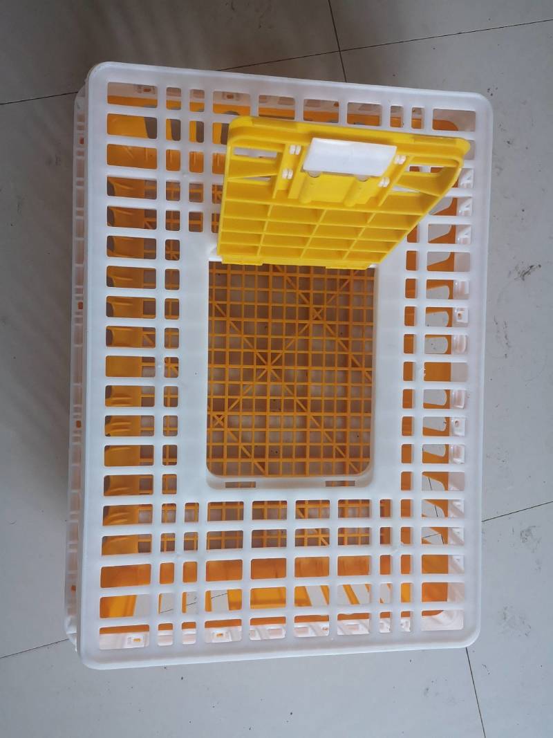鸡鸭转运笼周转笼加厚加固原包料厂家直销量大从优