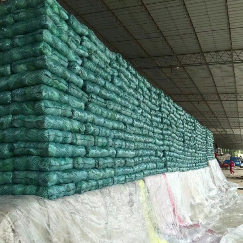 精品甘蓝质量保证全国代发可线上交易合作共赢
