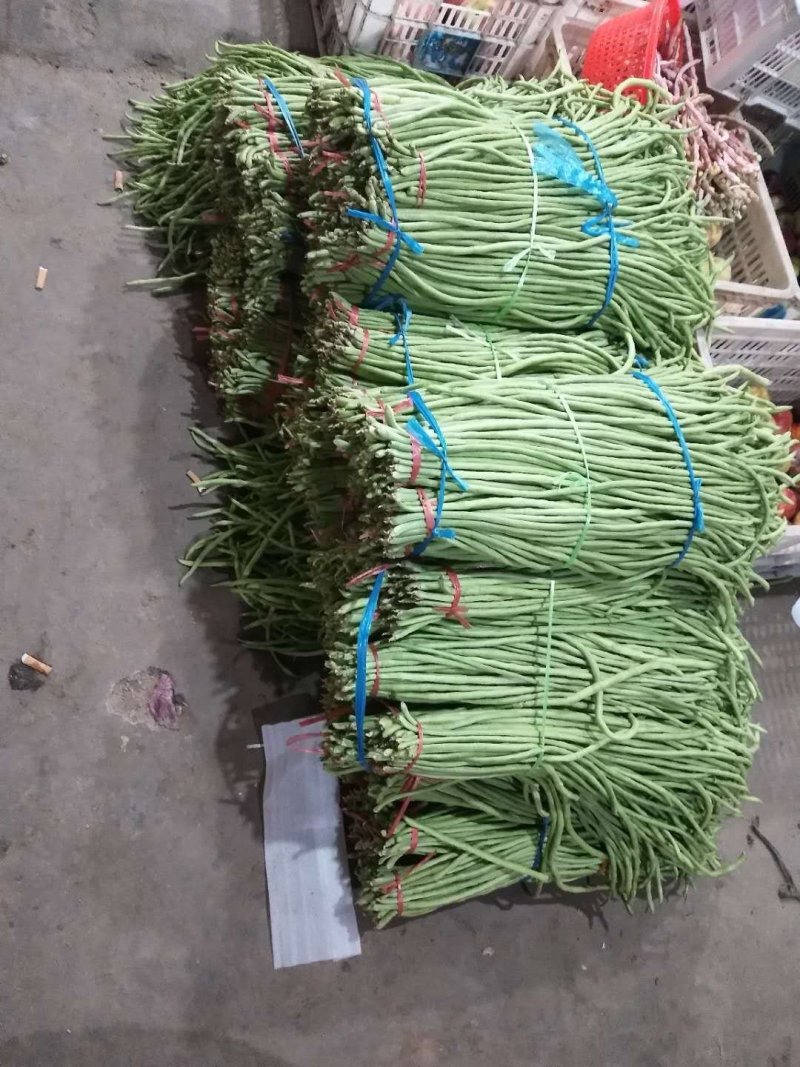 豆角大量上市了