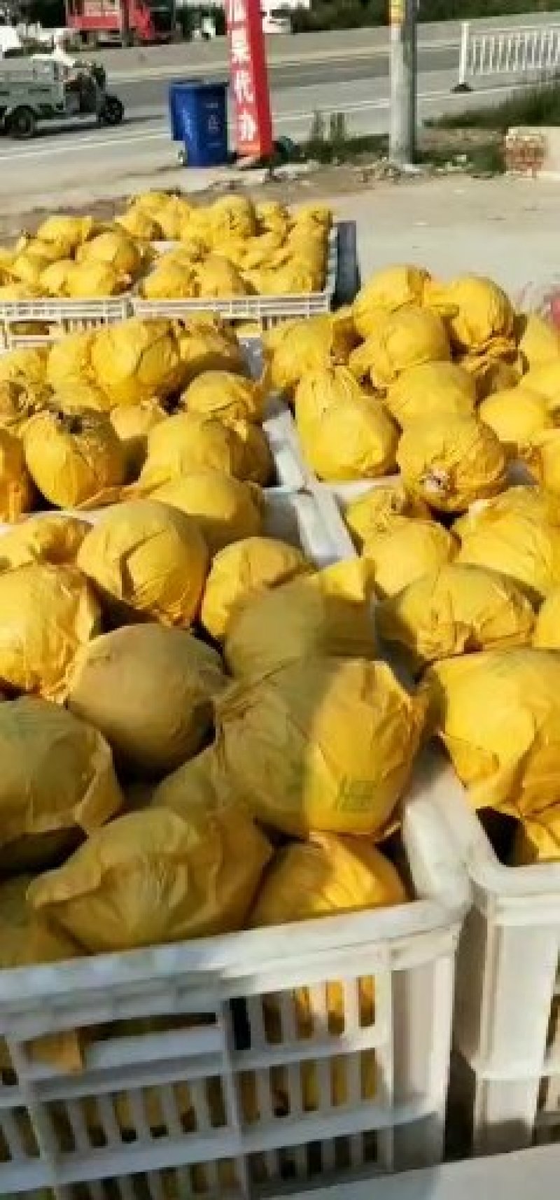 翠玉梨，纸袋，果面干净，一手货源，保证质量，随到随收