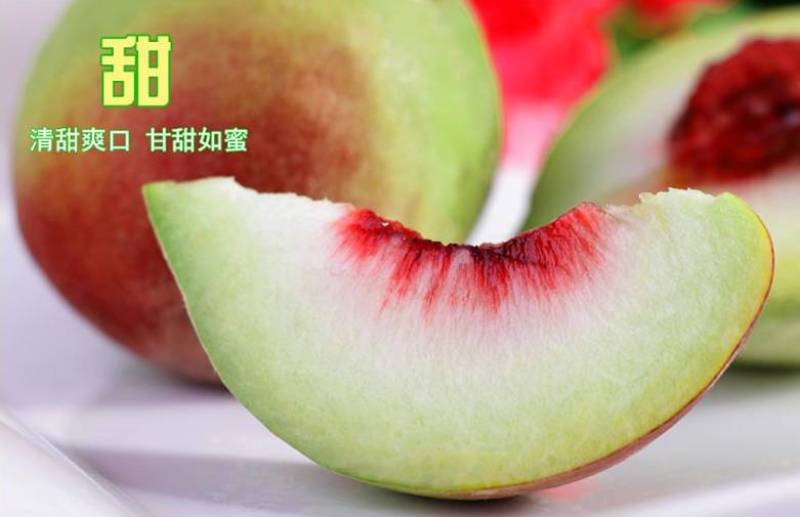 广东鹰嘴桃(特大果)净5/10斤包邮一件代发