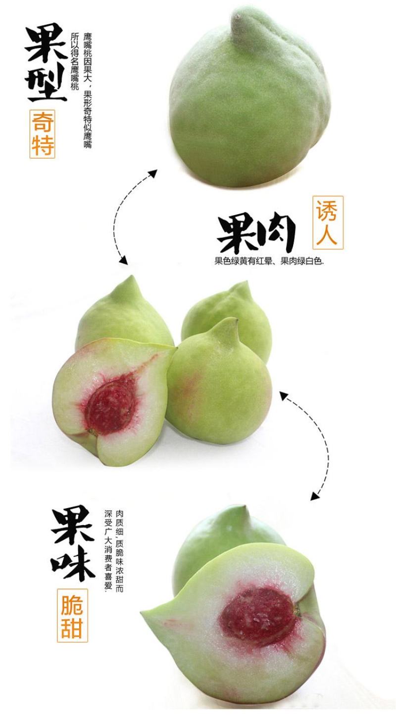 广东鹰嘴桃(特大果)净5/10斤包邮一件代发