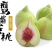 广东鹰嘴桃(特大果)净5/10斤包邮一件代发