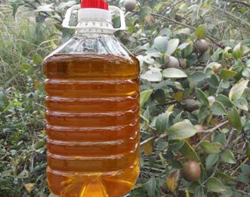 农家山茶油野生茶油江西茶油食用油茶树油纯正山茶籽野茶子油